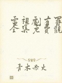电视剧有罪之身全集免费观看高清封面