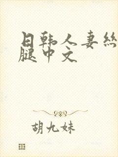 日韩人妻丝袜美腿中文