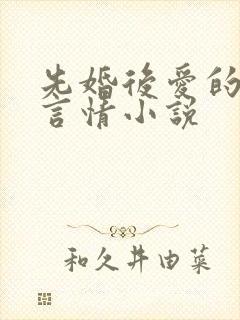 先婚后爱的现代言情小说封面