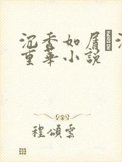 沉香如屑·沉香重华小说