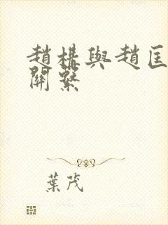 赵构与赵匡胤的关系封面
