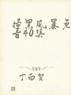 扫黑风暴免费观看40集
