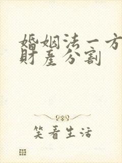 婚姻法一方出轨财产分割