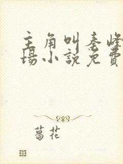 主角叫秦峰的官场小说免费阅读