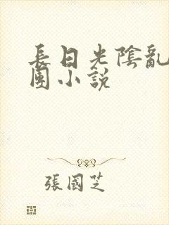 长日光阴乱作一团小说封面
