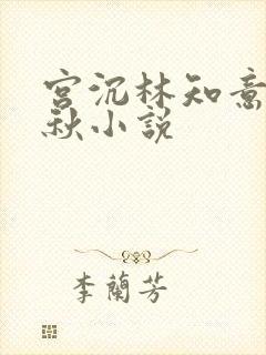 宫沉林知意宋婉秋小说封面