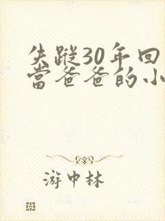 失踪30年回来当爸爸的小说封面