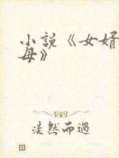 小说《女婿与岳母》