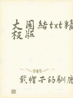 大团结txt精校版