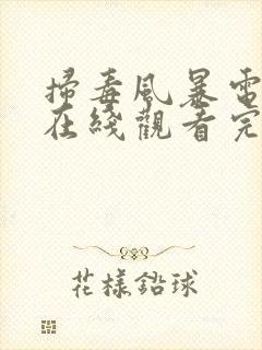 扫毒风暴电视剧在线观看完整版高清