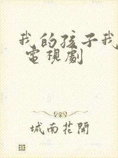 我的孩子我的家 电视剧