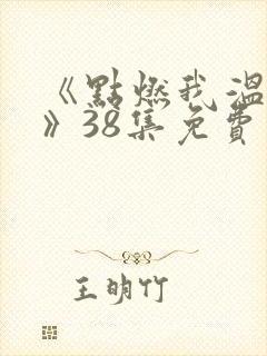 《点燃我温暖你》38集免费观看