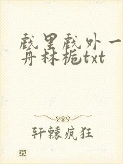 戏里戏外一叶孤舟林栀txt