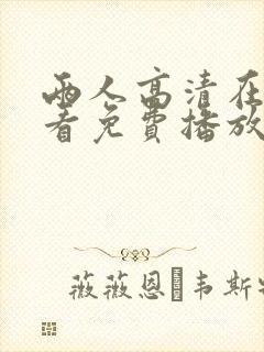 两人高清在线观看免费播放电视剧封面
