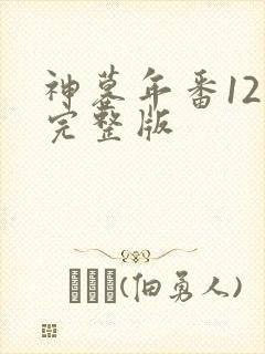 神墓年番12集完整版