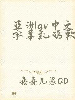 亚洲av中文字字幕乱码软件