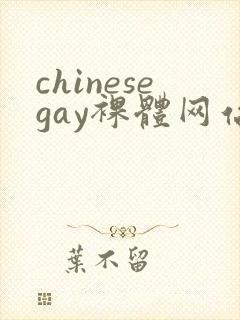 chinesegay裸体网站