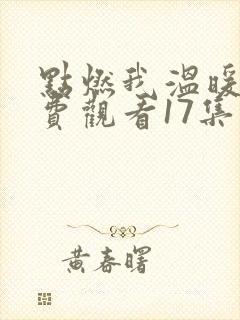 点燃我温暖你免费观看17集