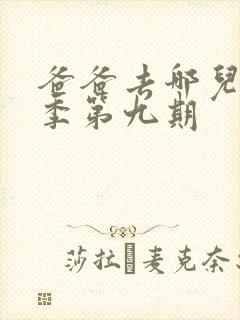 爸爸去哪儿第三季第九期封面