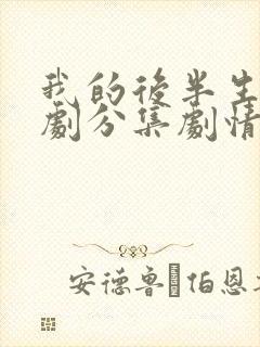 我的后半生电视剧分集剧情介绍封面