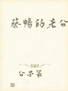 蔡畅的老公是谁