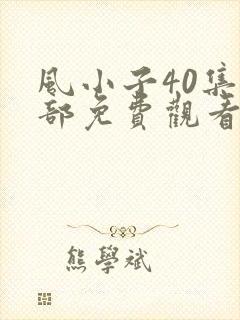 风小子40集全部免费观看西瓜影院
