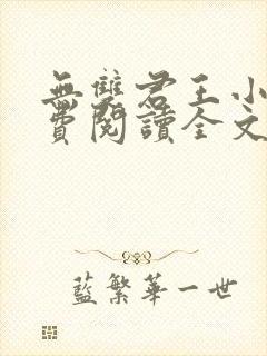 无双君王小说免费阅读全文