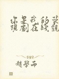 你是我的荣耀电视剧在线观看免费观看封面