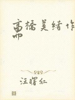高桥美绪作品封面