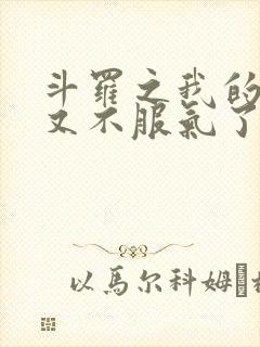 斗罗之我的系统又不服气了 小说