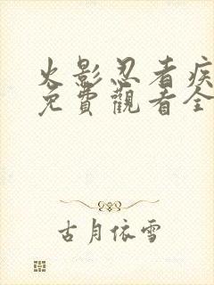 火影忍者疾风传免费观看全集中文版
