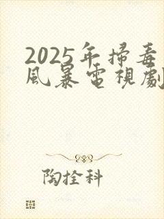 2025年扫毒风暴电视剧在线观看