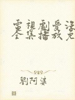 电视剧爱没有错全集播放免费封面