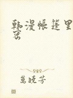 韩漫帐篷里的秘密