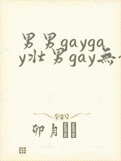 男男gaygay壮男gay无套