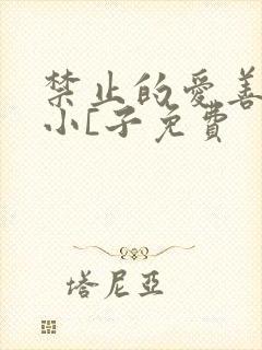 禁止的爱善良的小[子免费