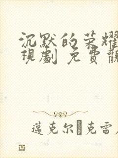 沉默的荣耀 电视剧 免费观看
