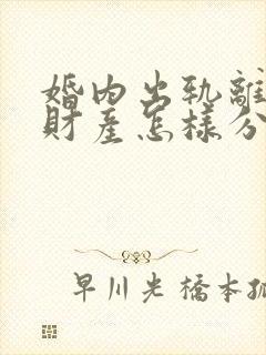 婚内出轨离婚后财产怎样分割