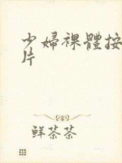 少妇裸体按摩毛片