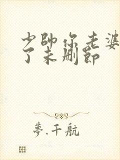 少帅你老婆又跑了未删节封面