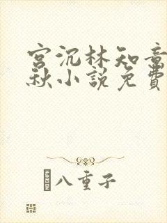 宫沉林知意宋婉秋小说免费阅读