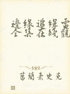 边缘追缉电视剧全集在线观看高清封面