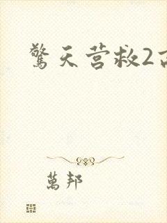 惊天营救2高清