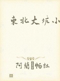 东北大坑小说