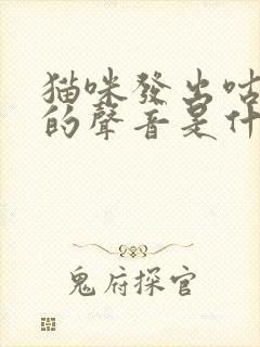 猫咪发出咕咕咕的声音是什么情况