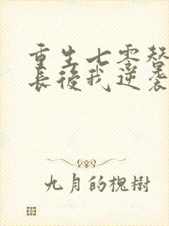 重生七零替嫁首长后我逆袭成团宠小说