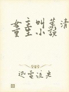 女主叫叶清雅的重生小说