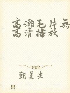高潮毛片无遮挡高清播放
