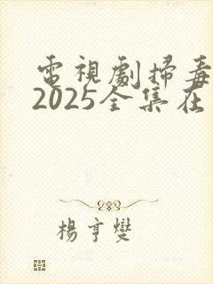 电视剧扫毒风暴2025全集在线观看封面