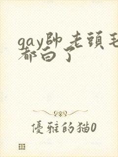 gay帅老头毛都白了